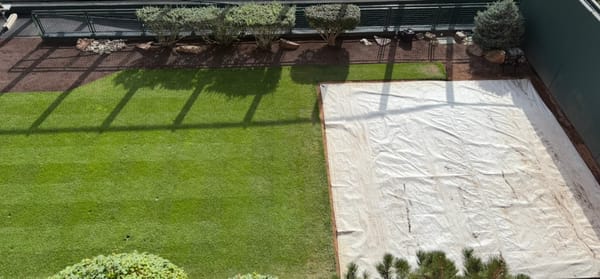 Colorado Rockies announce pitching staff